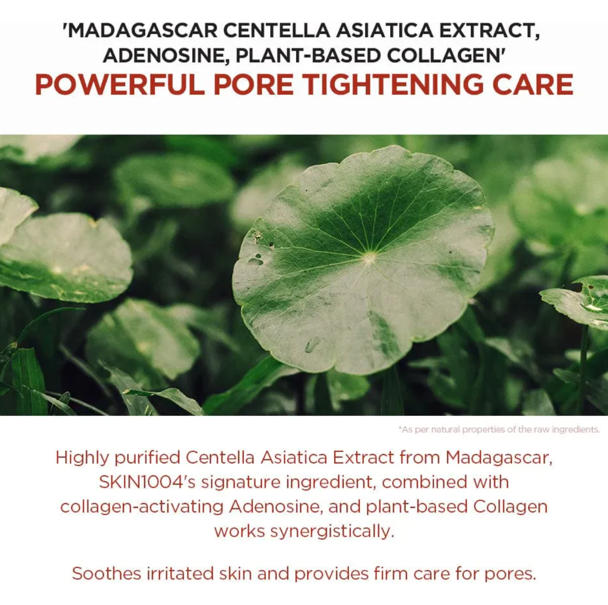 Skin1004 Madagascar Centella Poremizing Mask